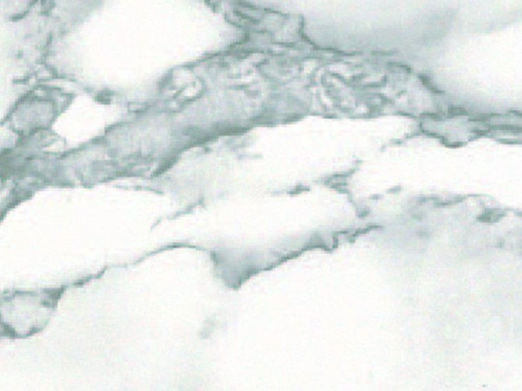 Autocolant gekkofix imitatie marmura carrara alb cu gri 67.5cmx2m cod 11132